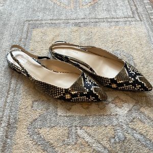 NWOT Everlane Editor snakeskin sling back flats